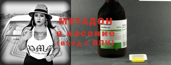 индика Алексин