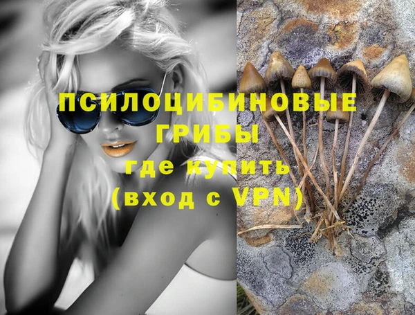 индика Алексин