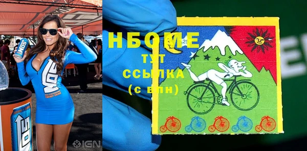 индика Алексин