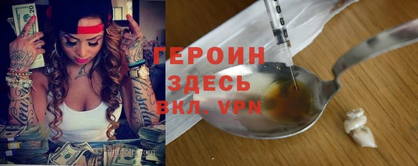 индика Алексин
